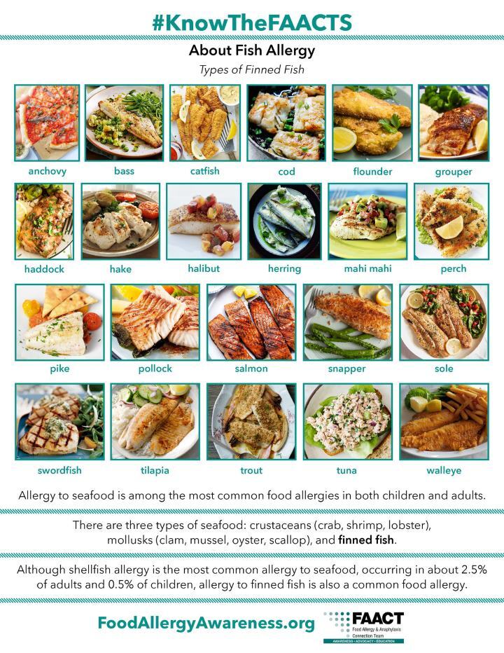 Types of Finned Fish for Seafood Allergy